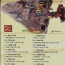 왕릉2리 하천변 가로수길 | 걸으면 건강하다 고양누리길 14코스 바람누리길 15.5km 완주편