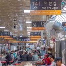 영월 인 더 나이트 이미지