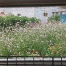 바다소리민박 이미지