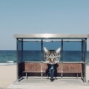 송지호해변(중앙) 네이버블로그