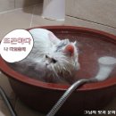 원투pc 이미지