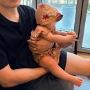 행복의파수꾼 | 엄마는 호밀밭의 파수꾼이야