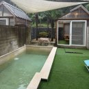 항사리91 | 반려견 동반 숙소 추천 | 포항 항사리91 풀빌라 솔직 후기 (야외수영장, 가성비굿)