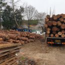 소나무황토집 이미지