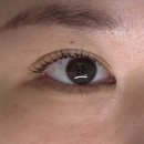 태후사랑(명촌점) | [울산] 북구 명촌 자연스러운 속눈썹 펌 잘하는 곳 토탈 뷰티샵 쪼꼬미뷰티