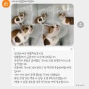 은주농장 | 화가 머리끝까지 나네 🥵