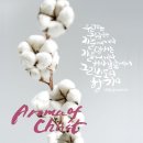 그리스도의향기