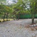 무릉도원면-50 이미지