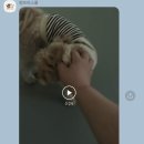 멍프리스쿨
