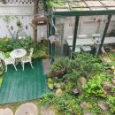 오색로뎀나무아래 이미지