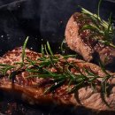 마이야르 이미지