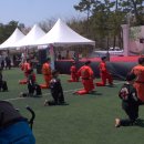 대한합기도 이미지