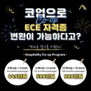 ✅[성공한사람들] 한국에서 SK주 ECE 변환이 불가능하다면? 변환할 수 있는 BEST 방법 이미지