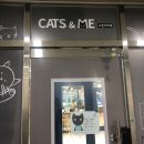 CATS&ME(캣츠 앤 미) | [양산] CATS&amp;ME 캣츠앤미, 고양이 카페