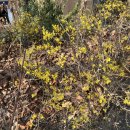 스타이용원 이미지