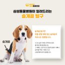 양구동물병원