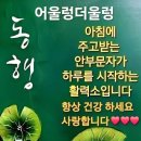 영원한 사랑 금 소연 노래ㅡ 노적봉 사랑 금소연 노래ㅡ 사랑의 로터리 금소연 노래ㅡ 정이라 말하지 마세요 금 소연 노래ㅡ 에헤라 가보자 이미지