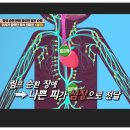 서울베스트재활의학과