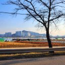 세천 체육공원 티스토리