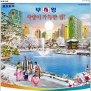 부영집
