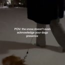 작고 소중해 이미지