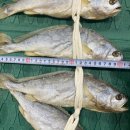6시내고향 영광 굴비 가게 택배 주문 알아보기(인생은 행복해)