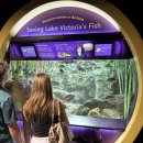 해달푸드 | [아이랑 뉴욕] 코니아일랜드 뉴욕 아쿠아리움 (New York Aquarium) 후기