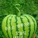 역대 올림픽 콘돔 배포 수 이미지