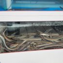 아리랑산장어구이 이미지