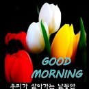 따삐오롯데 이미지