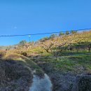 세동농장 이미지