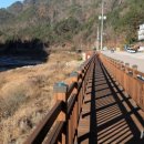 내린천자원 이미지