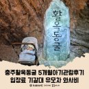 광산농장 | 충주활옥동굴 5개월아기관람후기 입장료 기갈대 유모차 와사비