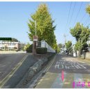 마정4리 이미지