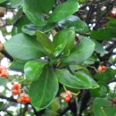 경주한의원 이미지