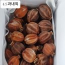 동상곶감