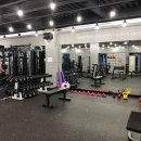 마리오 짐 이미지