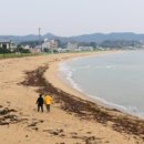 대진5리해변 네이버블로그