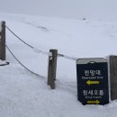 제주도백패킹준비물 [한라산 설경,윗세오름후기]