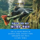 금강모치 화장실 | 충북 단양 아이와 여행 다누리 아쿠아리움 주차 할인 실내 민물고기생태체험관 추천