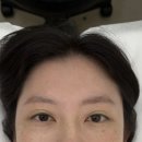 테일디뷰티