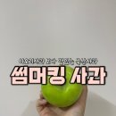 딜리셔스 - 8156 | 여름사과 썸머킹사과vs아오리사과 비교 제철과일 사과선물 딜리셔스마켓 후기