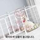 CM마트 쇼핑하우