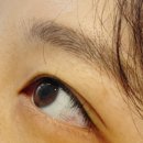 브로우본 | 풍무동속눈썹펌 브로우본 영양속눈썹펌 후기