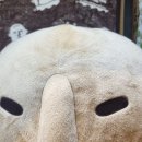 유림한의원탕전실