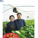 학표농장 이미지