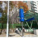 보평고등학교 내 이미지