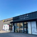 인투서비스연구소 | 평택동물병원 엔케어동물의료센터 | 강아지알러지 사이토포인트 + 펫모발검사 후기