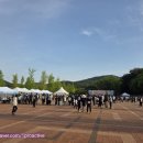 은행나무 성원자원 | 2025 아산 이순신축제 제3회 백의종군길 전국 걷기대회 11km 참가 후기