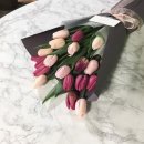 더하늘가득 Daum카페